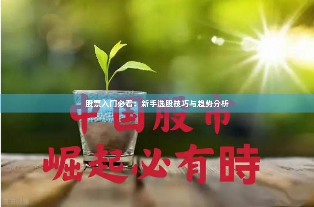 股票入门必看：新手选股技巧与趋势分析